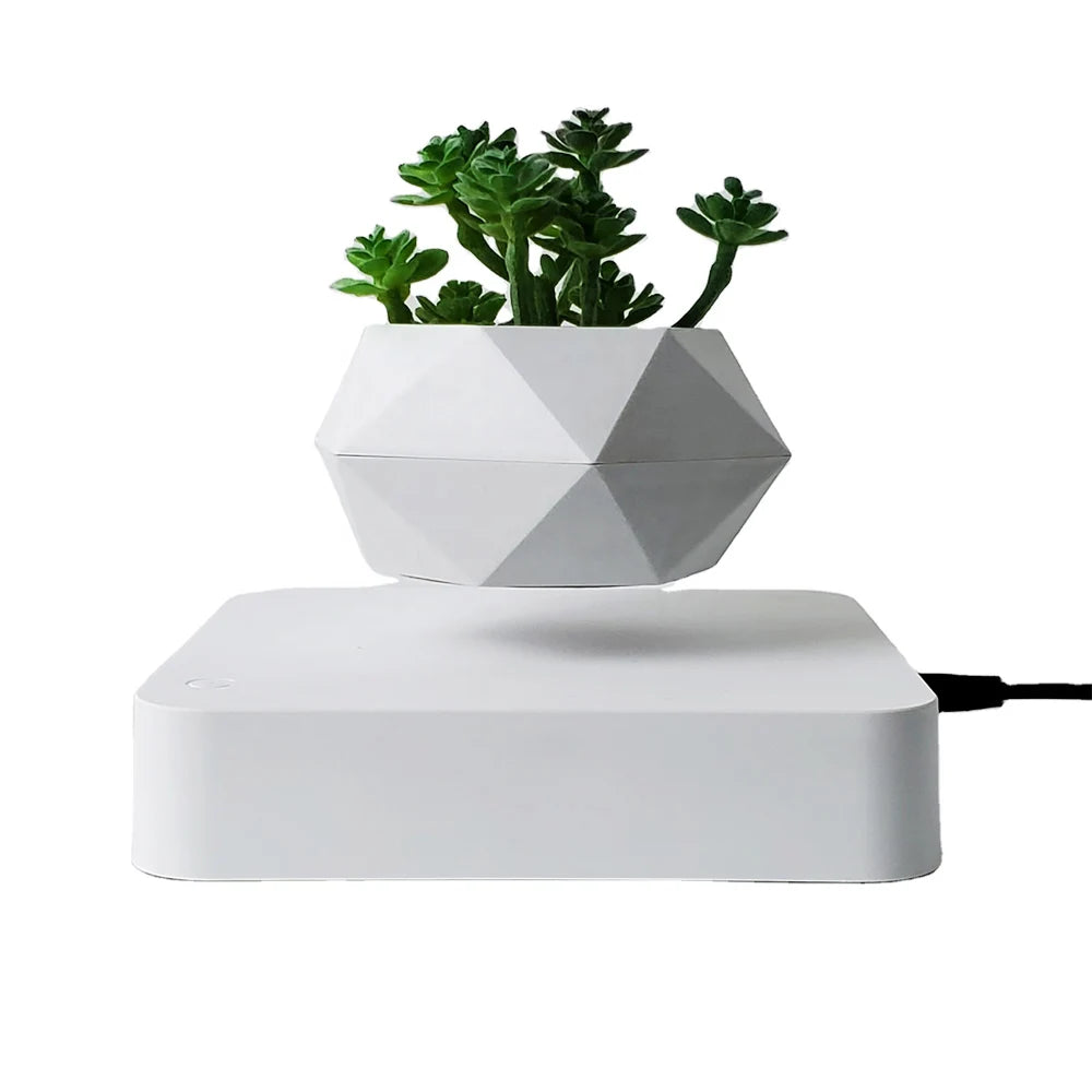 Pot de Fleur Magnétique Flottant pour Bonsaï et Plantes à Air